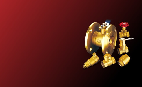 皇者風范 冠軍品質(zhì)